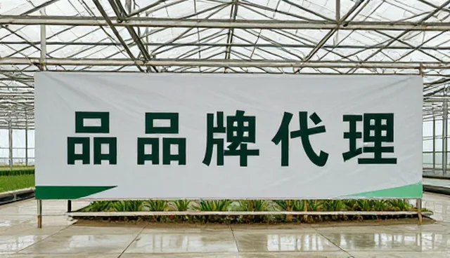 渠道分销中的品牌管理问题及应对策略